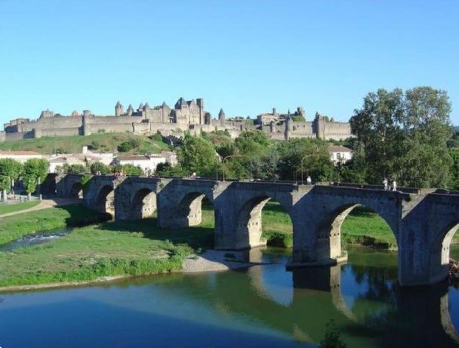 Dame Carcas Apartment Carcassonne Exterior foto